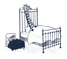 Feature Image
